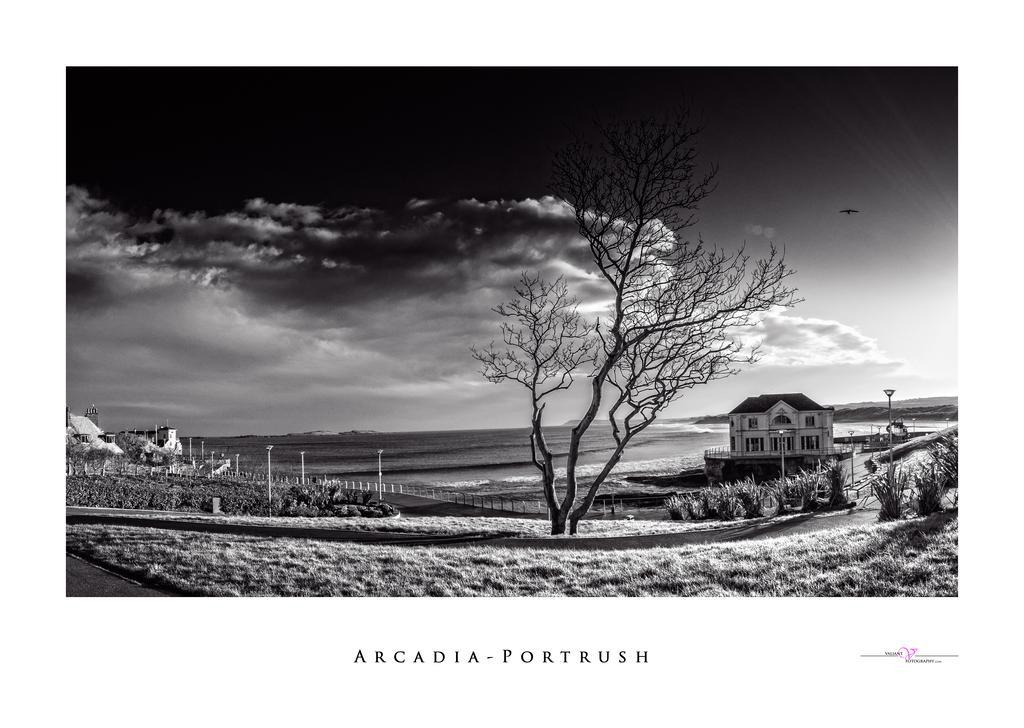 Harbour Heights B&B Portrush Exterior foto